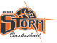 赫默风暴logo