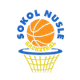穆斯勒女篮logo