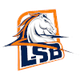 索拉卡纳logo