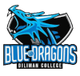 DC蓝龙logo