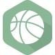 多瑙河U19logo