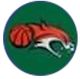 林斯女篮logo