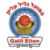 加利尔logo