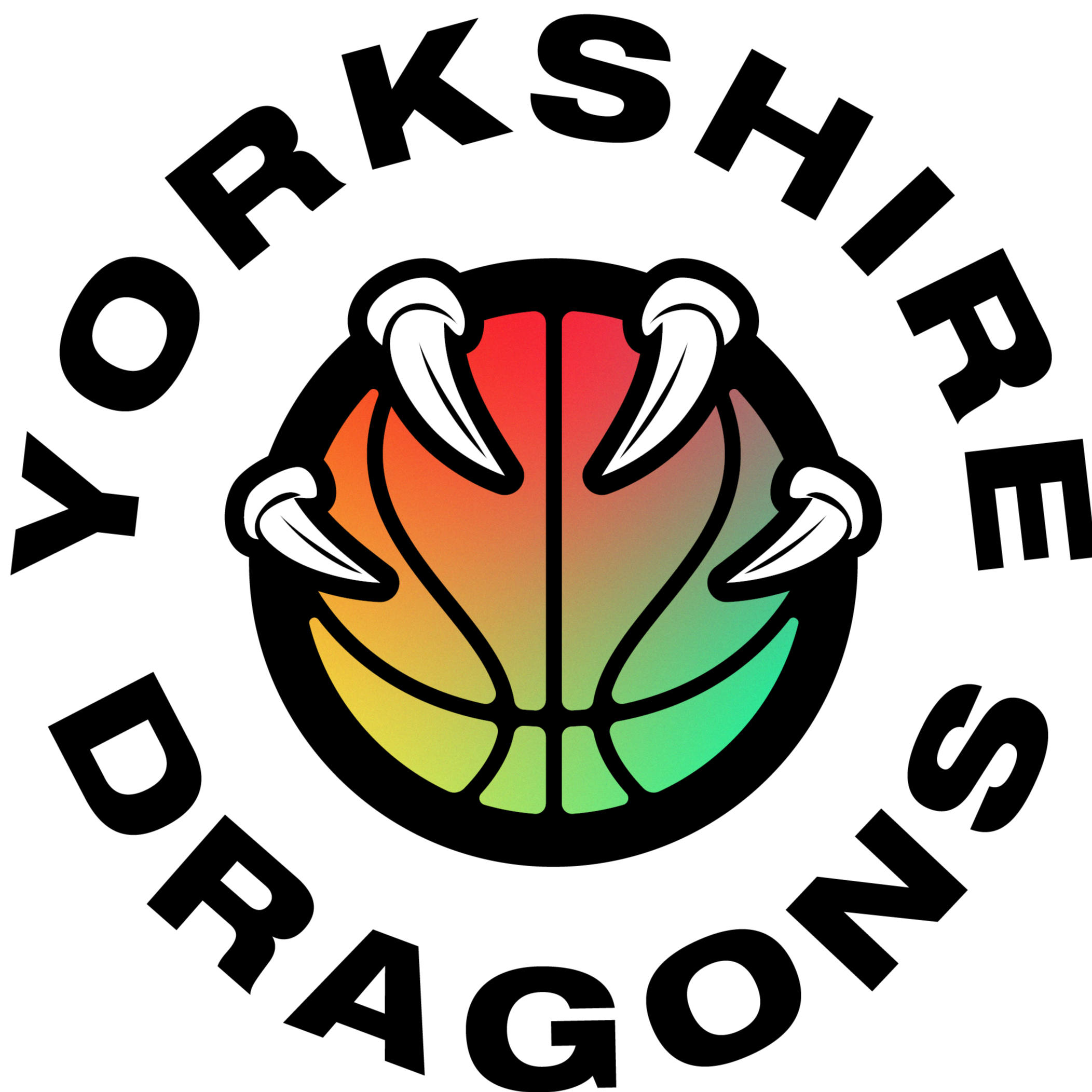 约克郡巨龙logo