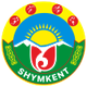奇姆肯特女篮logo