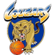 美洲狮U21logo
