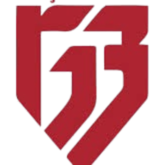 根克勒比尔利吉女篮logo