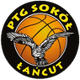 索科尔万特logo