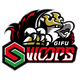 岐阜猛扑logo