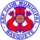 姆尼茨派尔U19logo