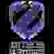 泽泰琦大学女篮logo