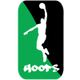 斯维尔弗堡logo