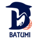 巴统RSUlogo