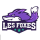 莱斯福克斯女篮logo