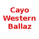 西部巴拉兹logo