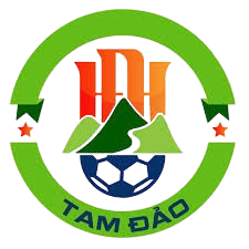 陶河足球中心logo