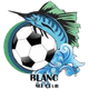 杜布兰克logo