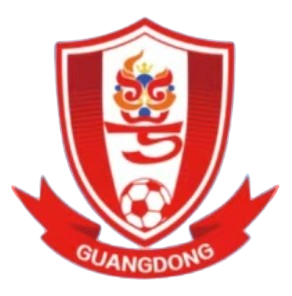 广东广州数科女足logo