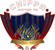 奇帕联合logo