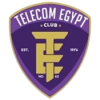 埃及电信logo