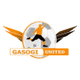 加索基联logo