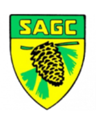 SA加济内塞斯塔logo